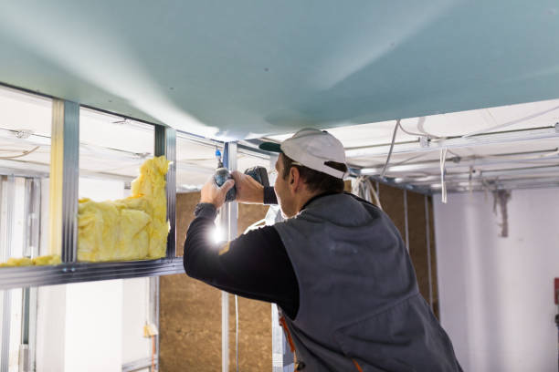 Best Energy Efficiency Solutions in Webster Groves, MO